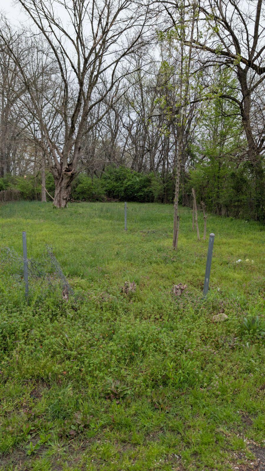 Lot 9 E 46th St. Walthall Street