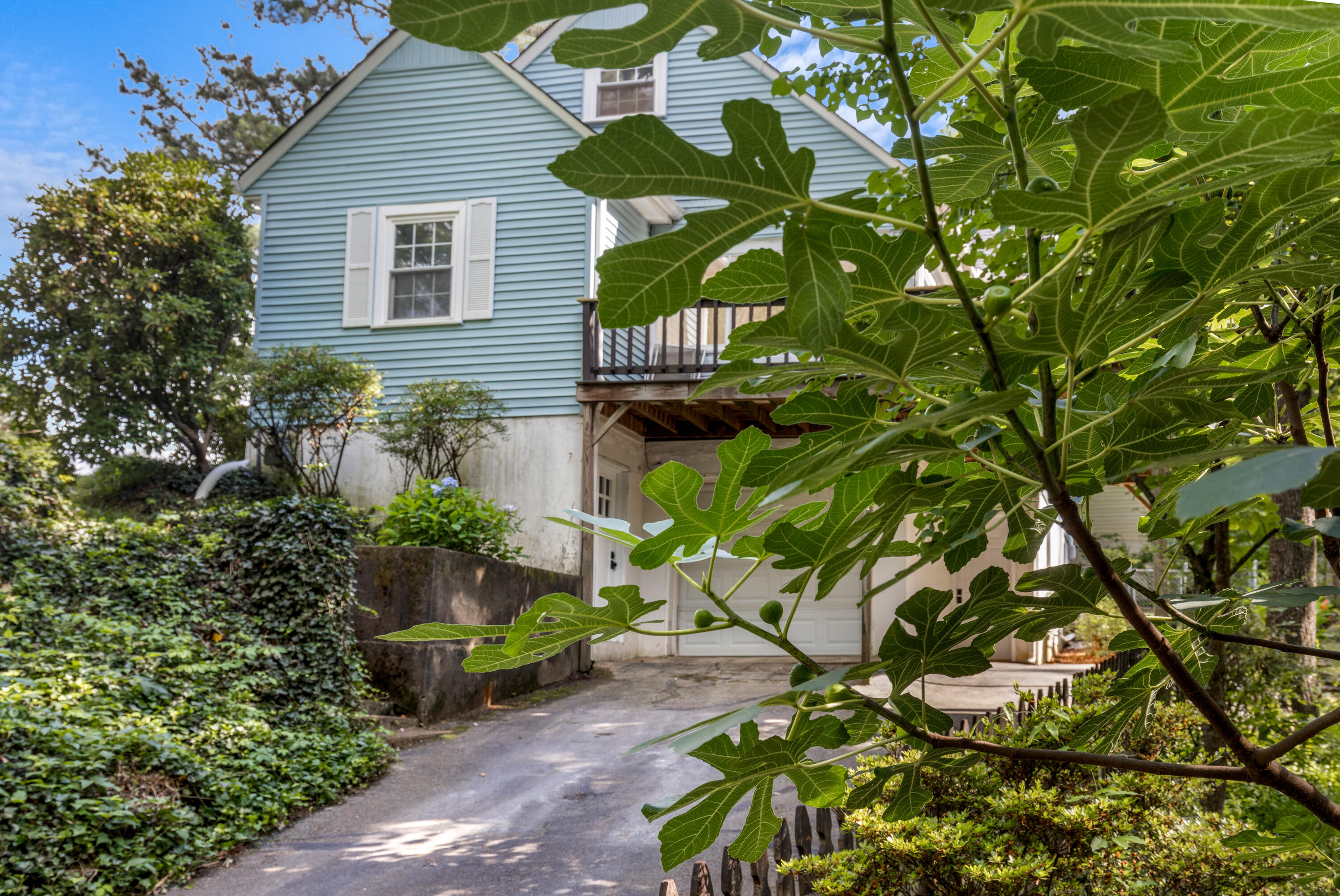 309 Peachbloom Drive