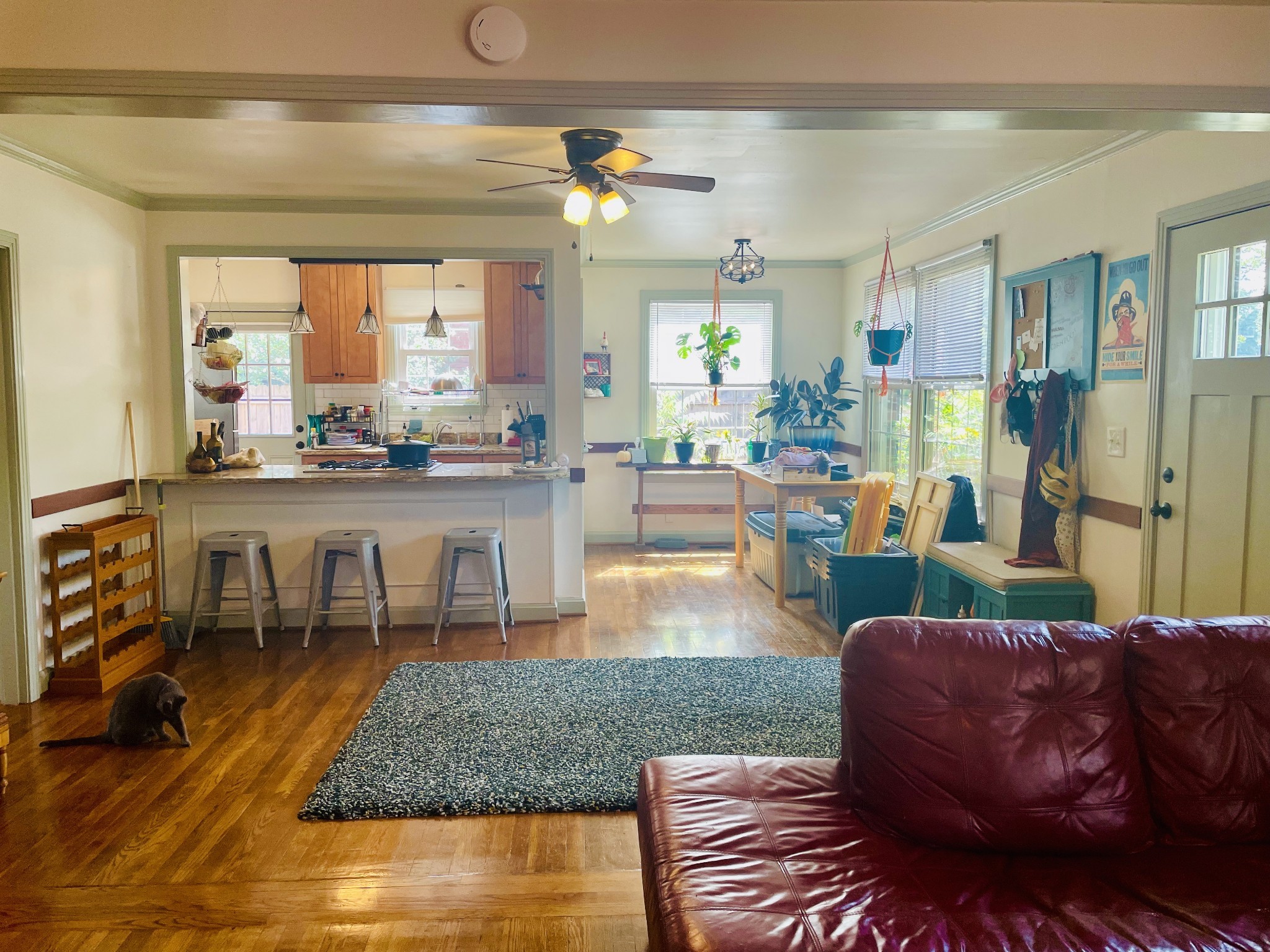 5551 Knob Rd