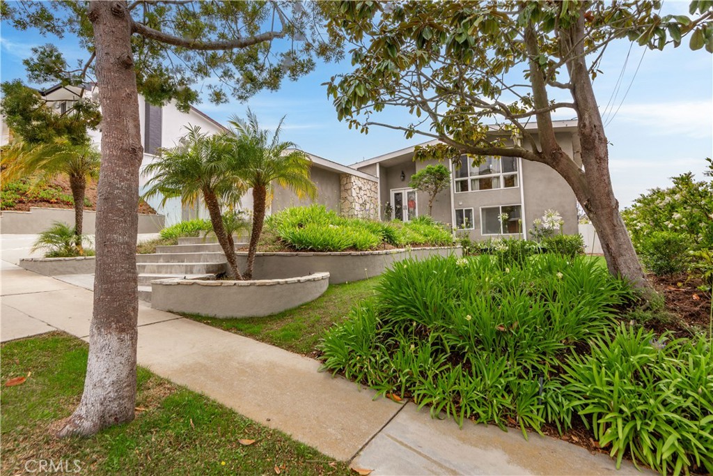 28433 Cedarbluff Drive