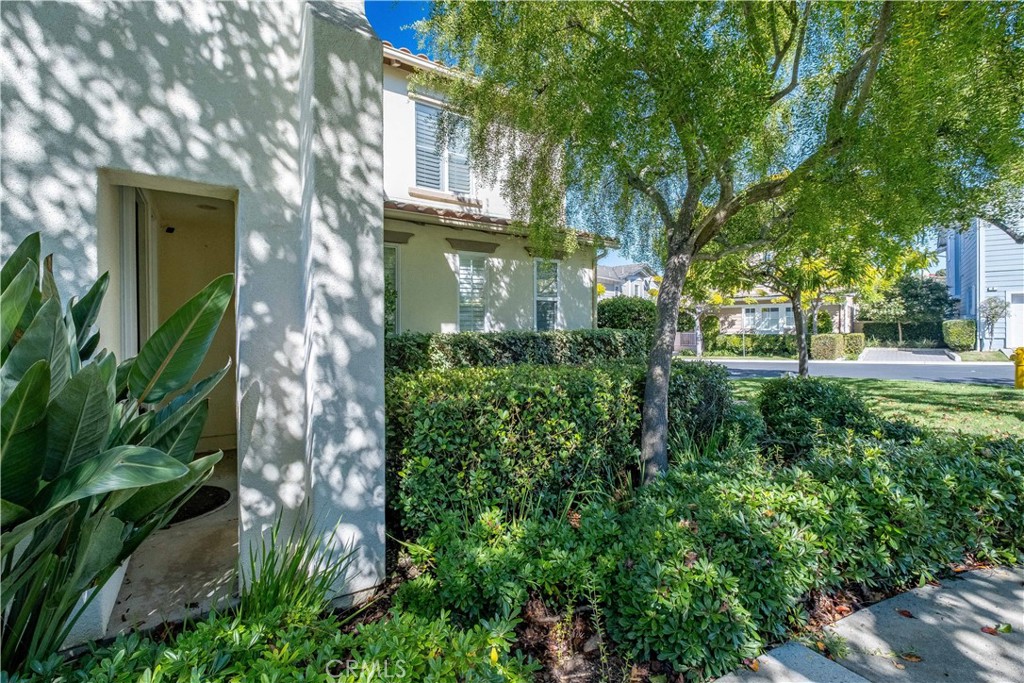33 33 Pepper Tree