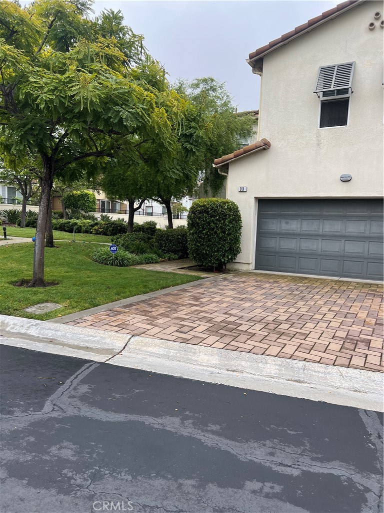 33 33 Pepper Tree