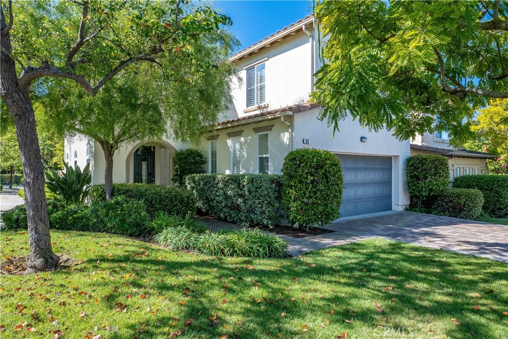 33 33 Pepper Tree