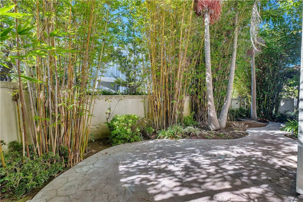 33 33 Pepper Tree