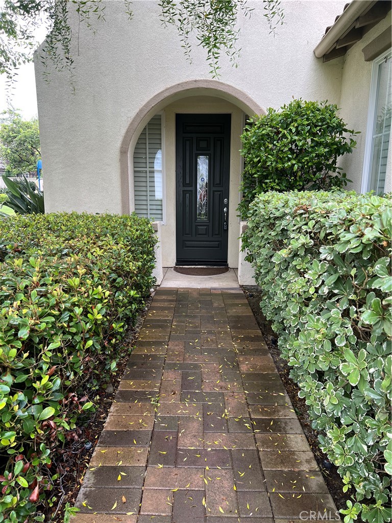 33 33 Pepper Tree