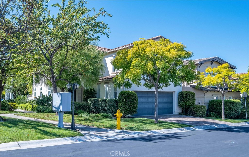 33 33 Pepper Tree
