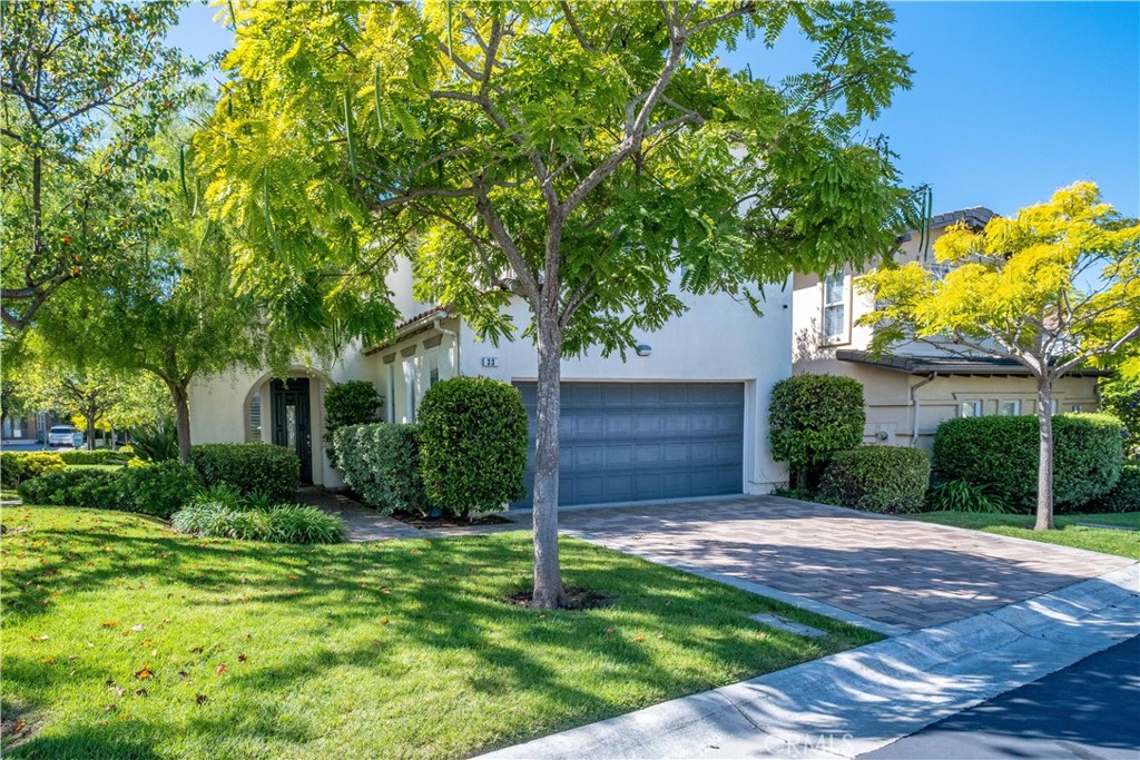 33 33 Pepper Tree