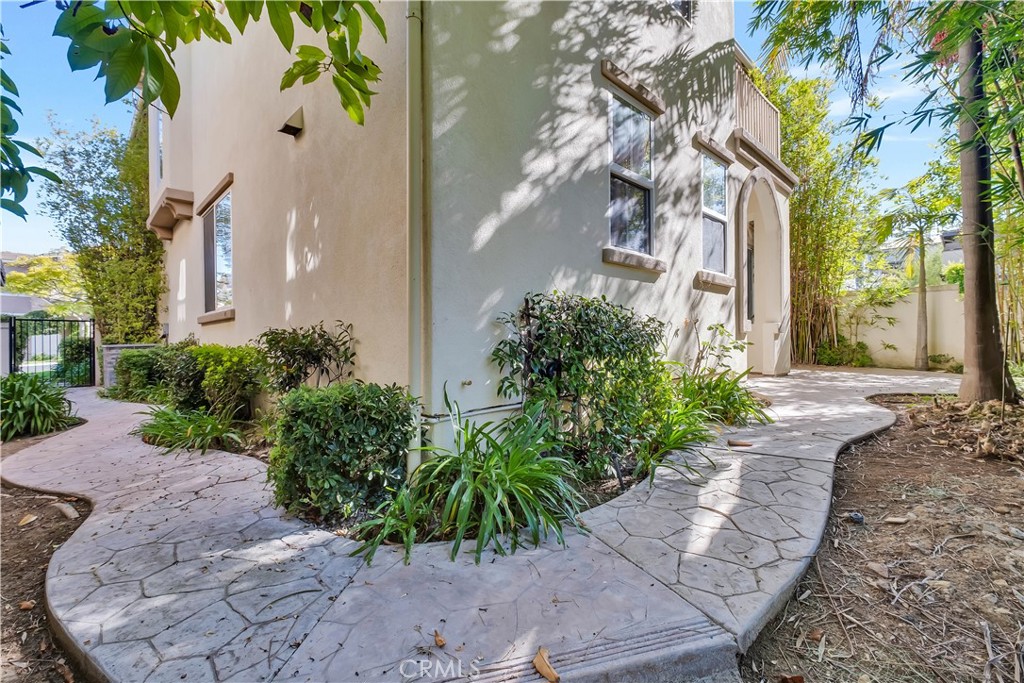 33 33 Pepper Tree