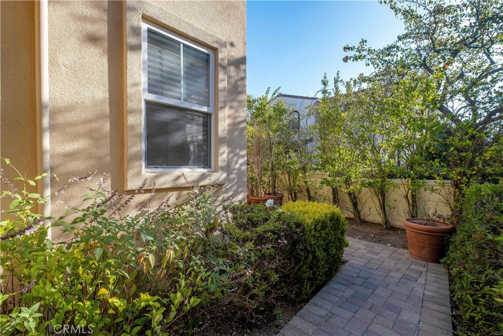 34 Pepper Tree