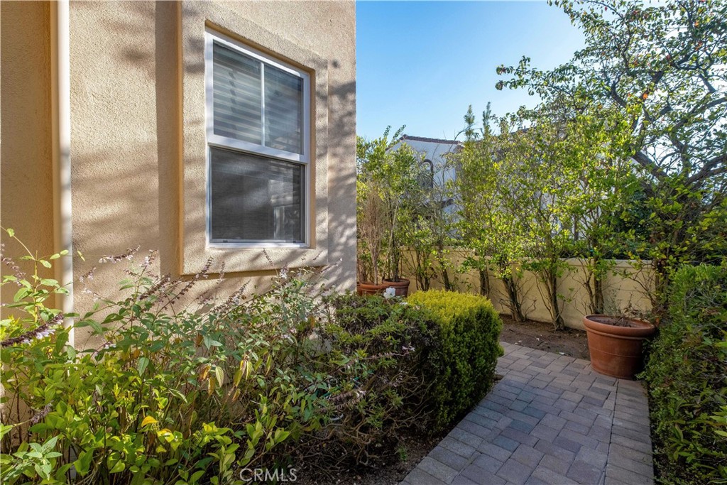 34 Pepper Tree