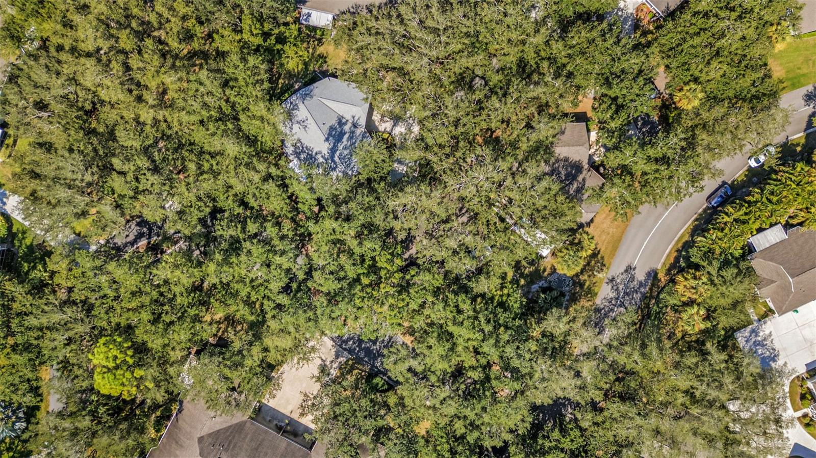1350 OLD OAK TRL