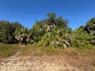 LOT 4 MATTOX CIR