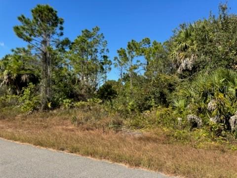 LOT 2 MATTOX CIR