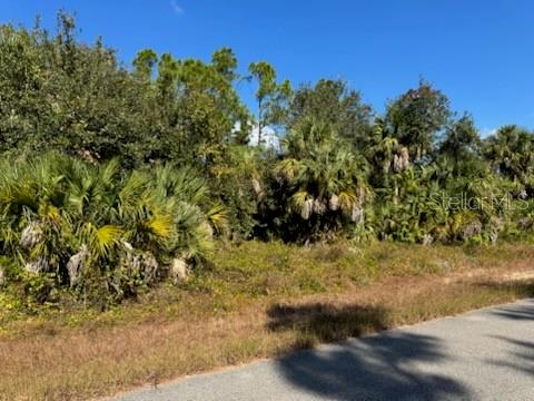 LOT 2 MATTOX CIR