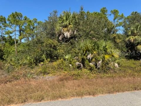LOT 2 MATTOX CIR