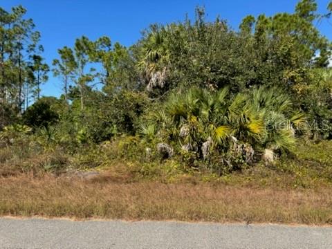 LOT 2 MATTOX CIR