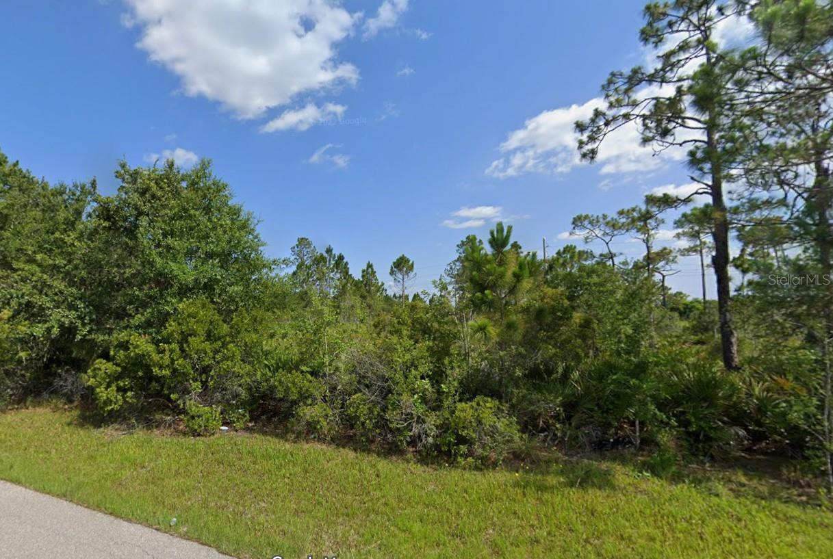 26099 EXPLORER RD