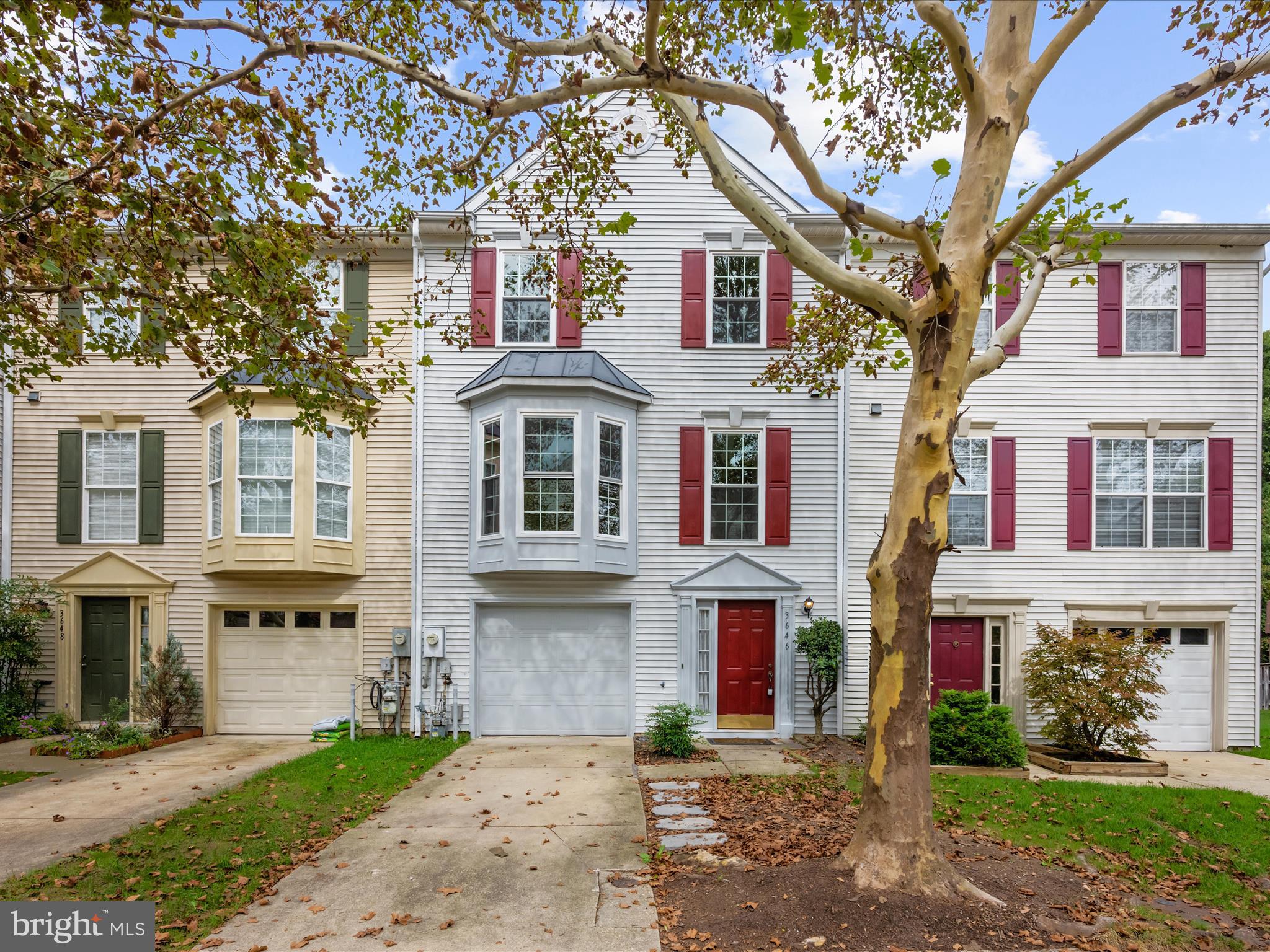 3646 MARCEY CREEK ROAD