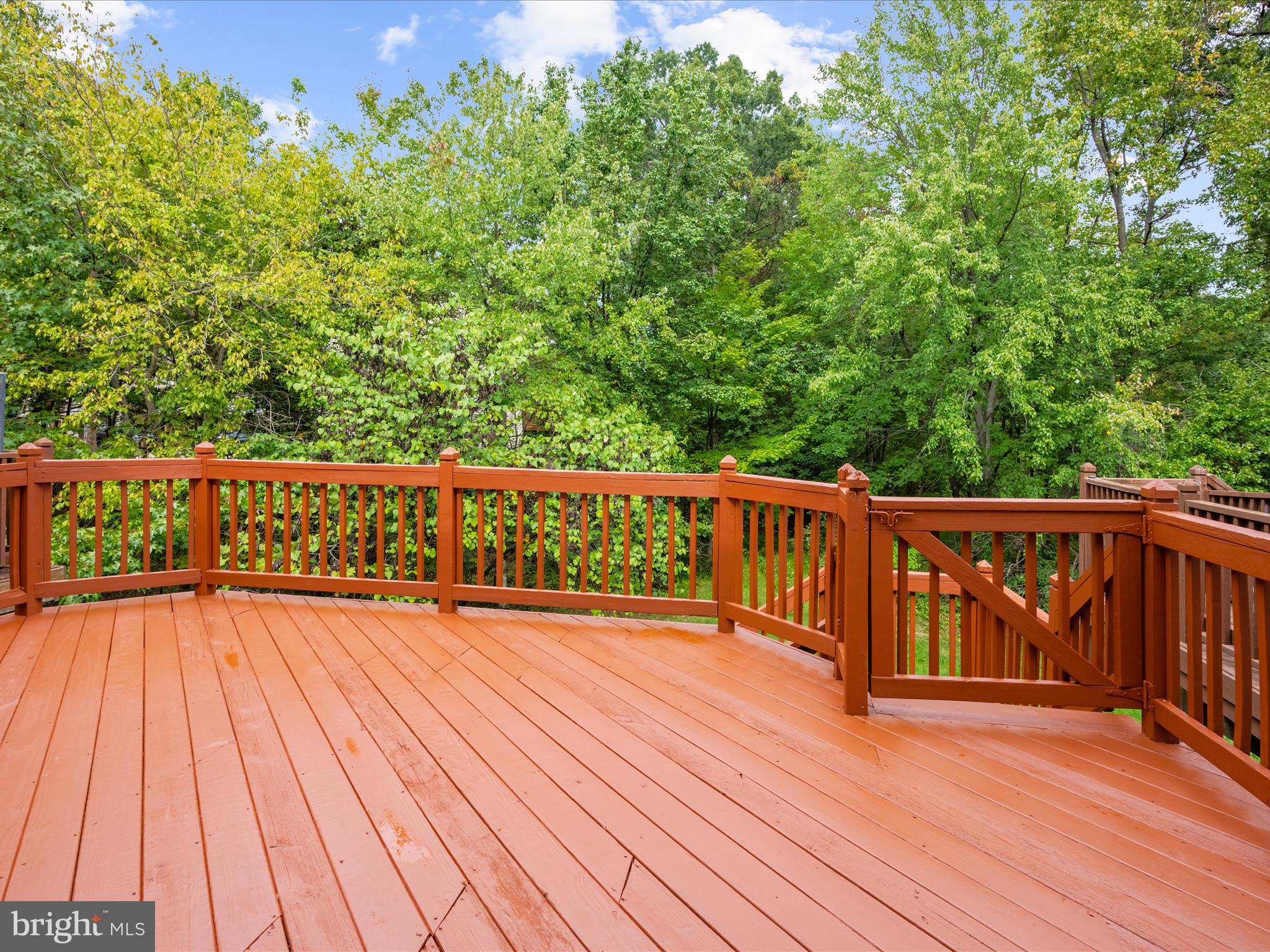 3646 MARCEY CREEK ROAD