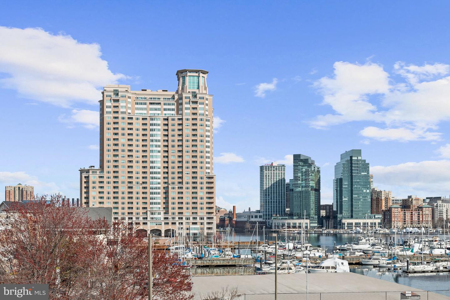 Waterfront skyline and marina with boats, glass towers, and autumn foliage.