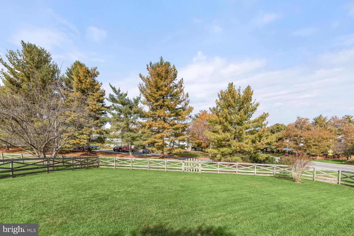 Spacious fenced lawn with mature evergreens and autumn trees beside a residential street.