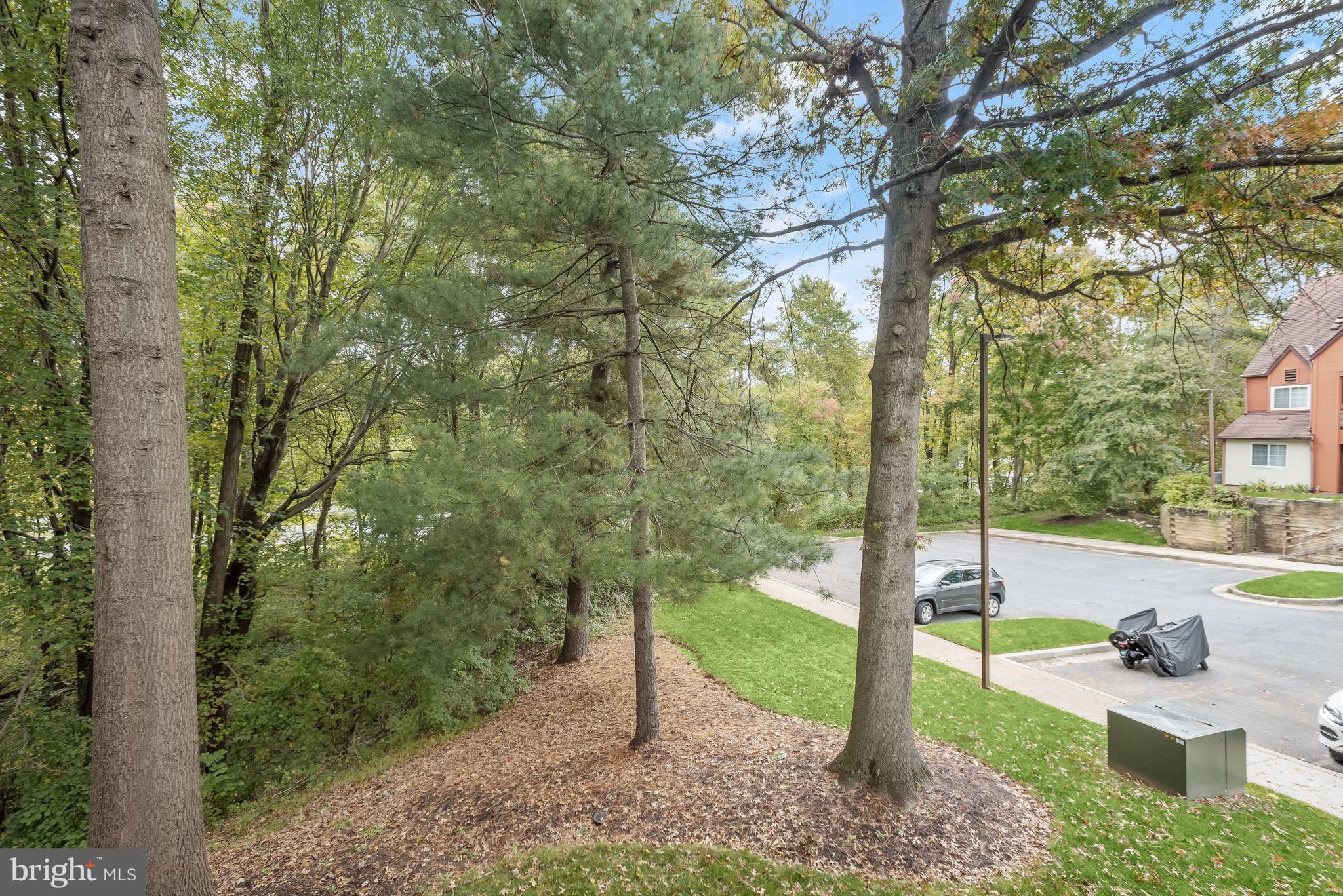 Wooded property view with mature trees overlooking a residential street and neighboring townhouse.