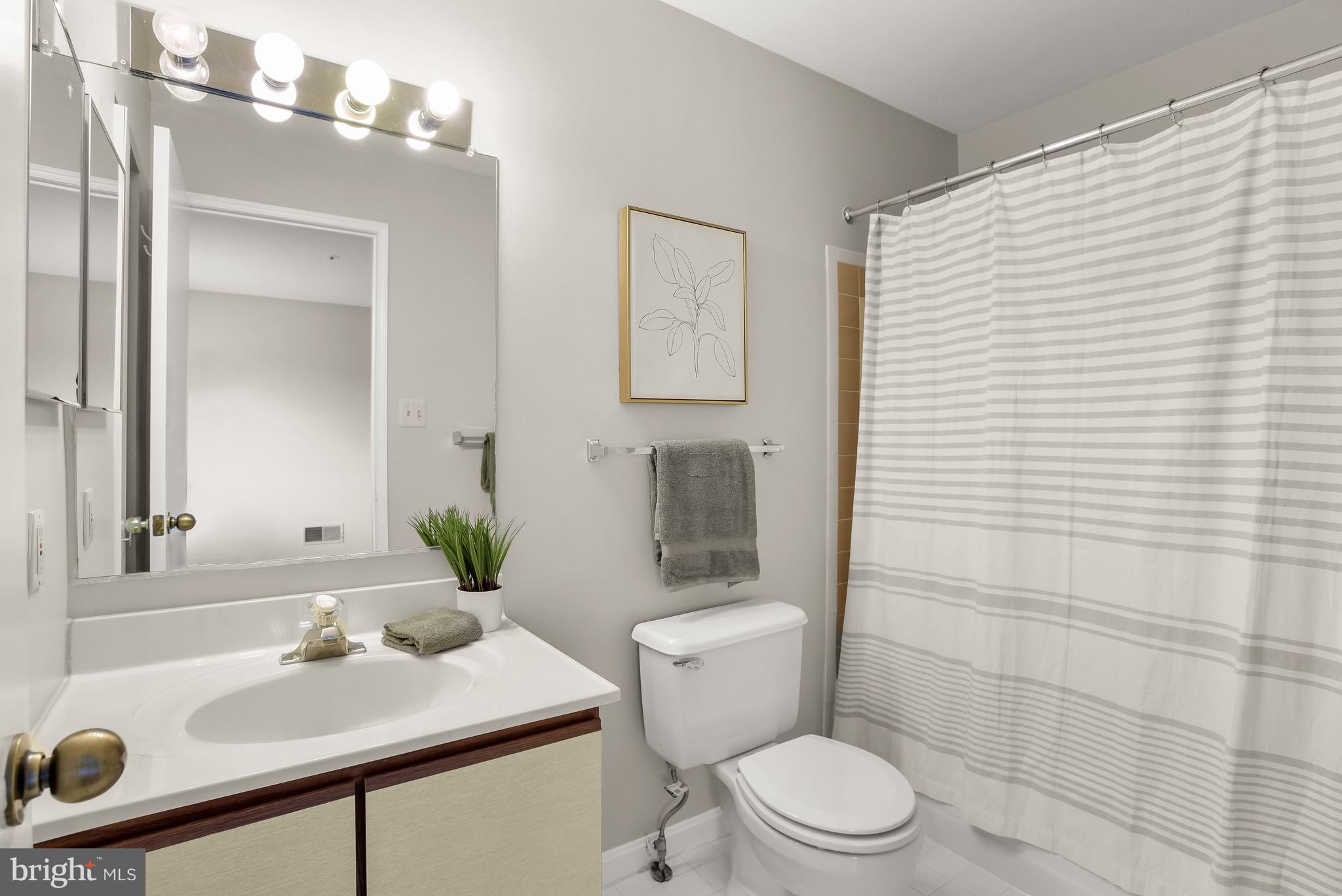Bathroom with a white vanity, large mirror, toilet, and striped shower curtain.