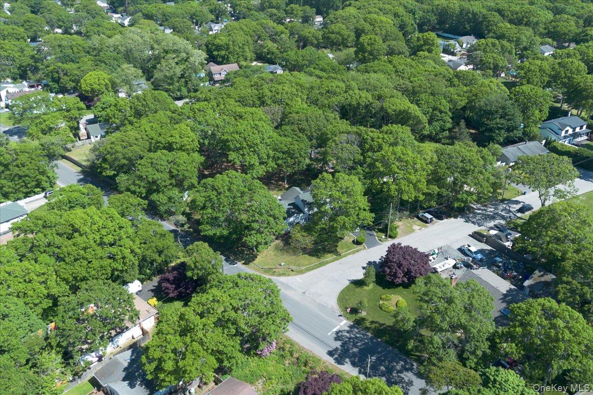 391 Orchid Drive