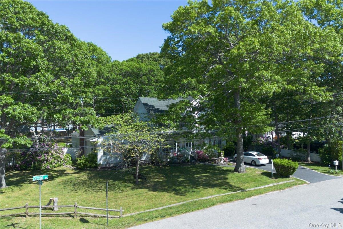 391 Orchid Drive