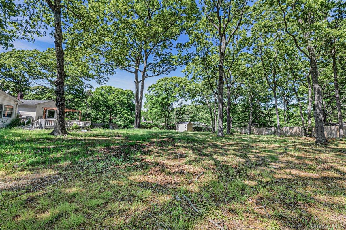 391 Orchid Drive