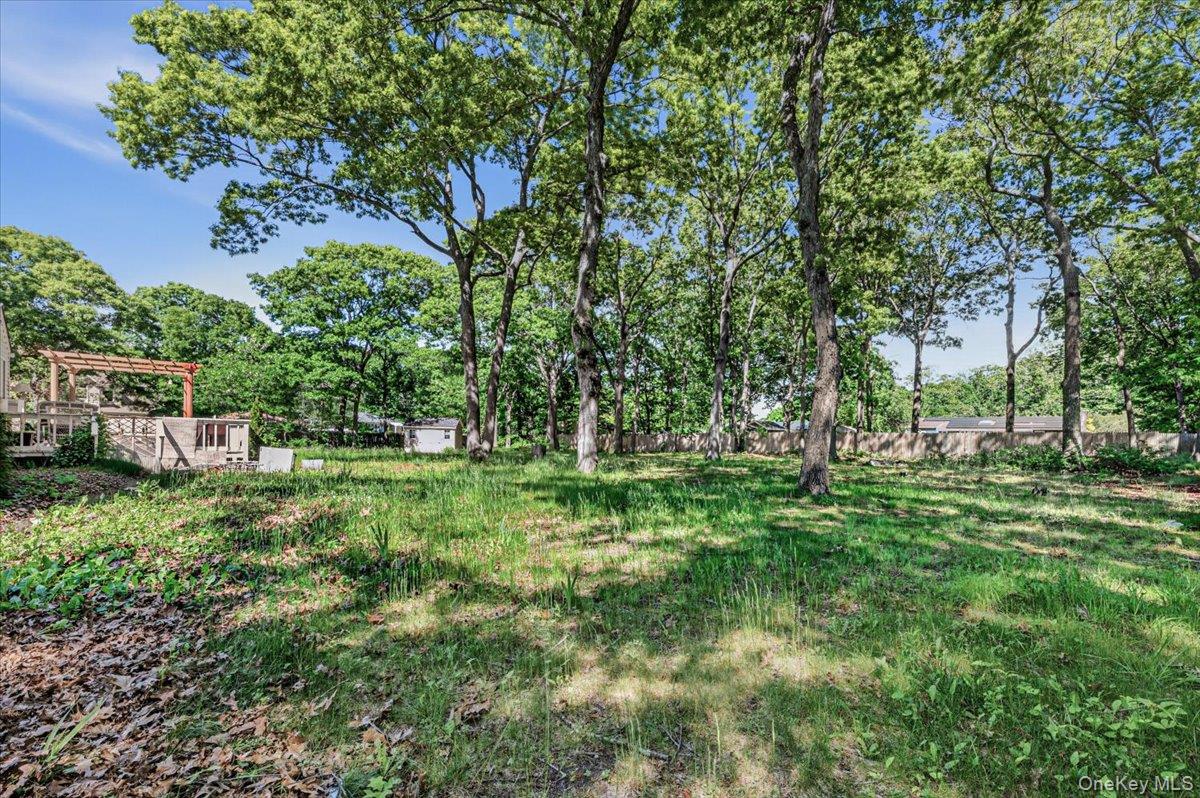 391 Orchid Drive