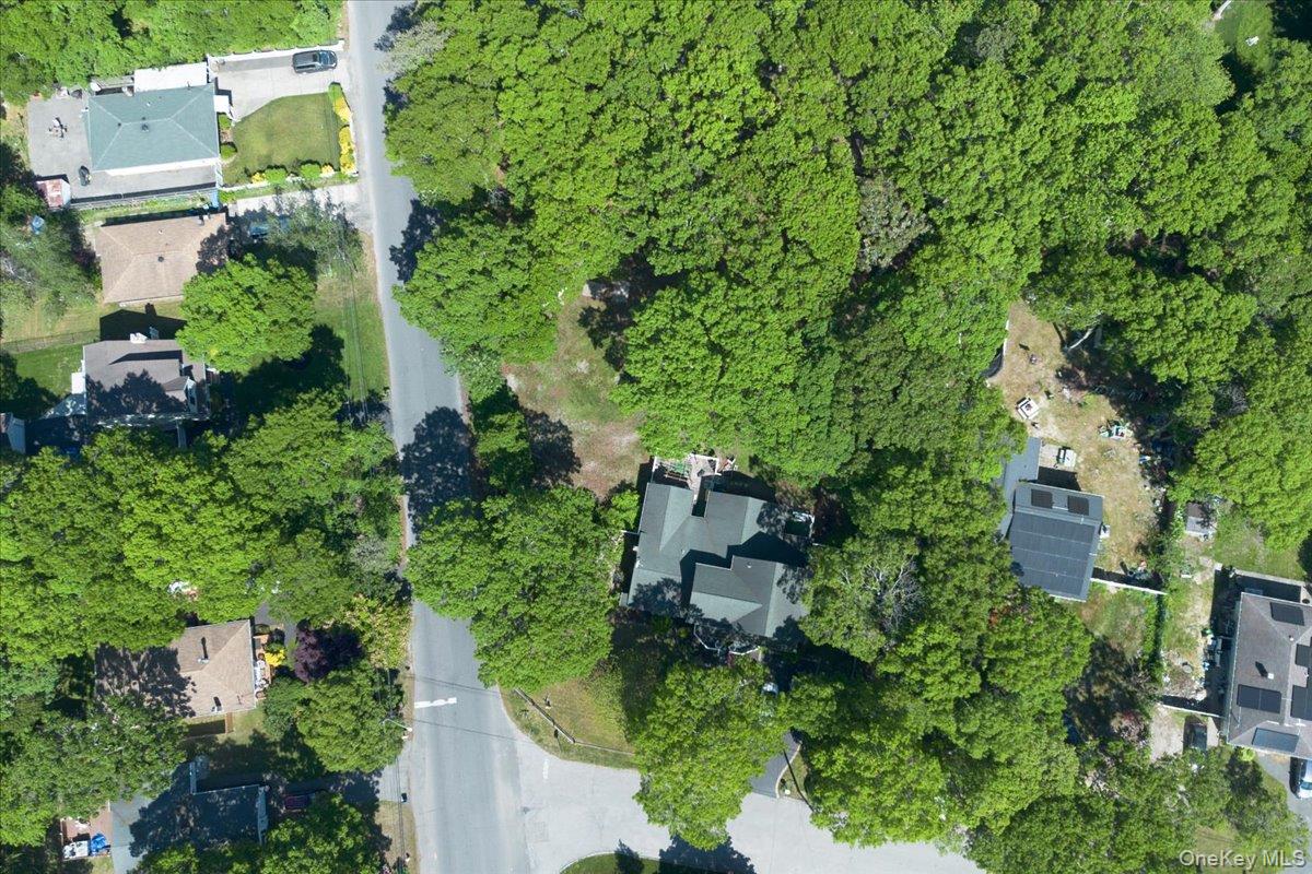 391 Orchid Drive