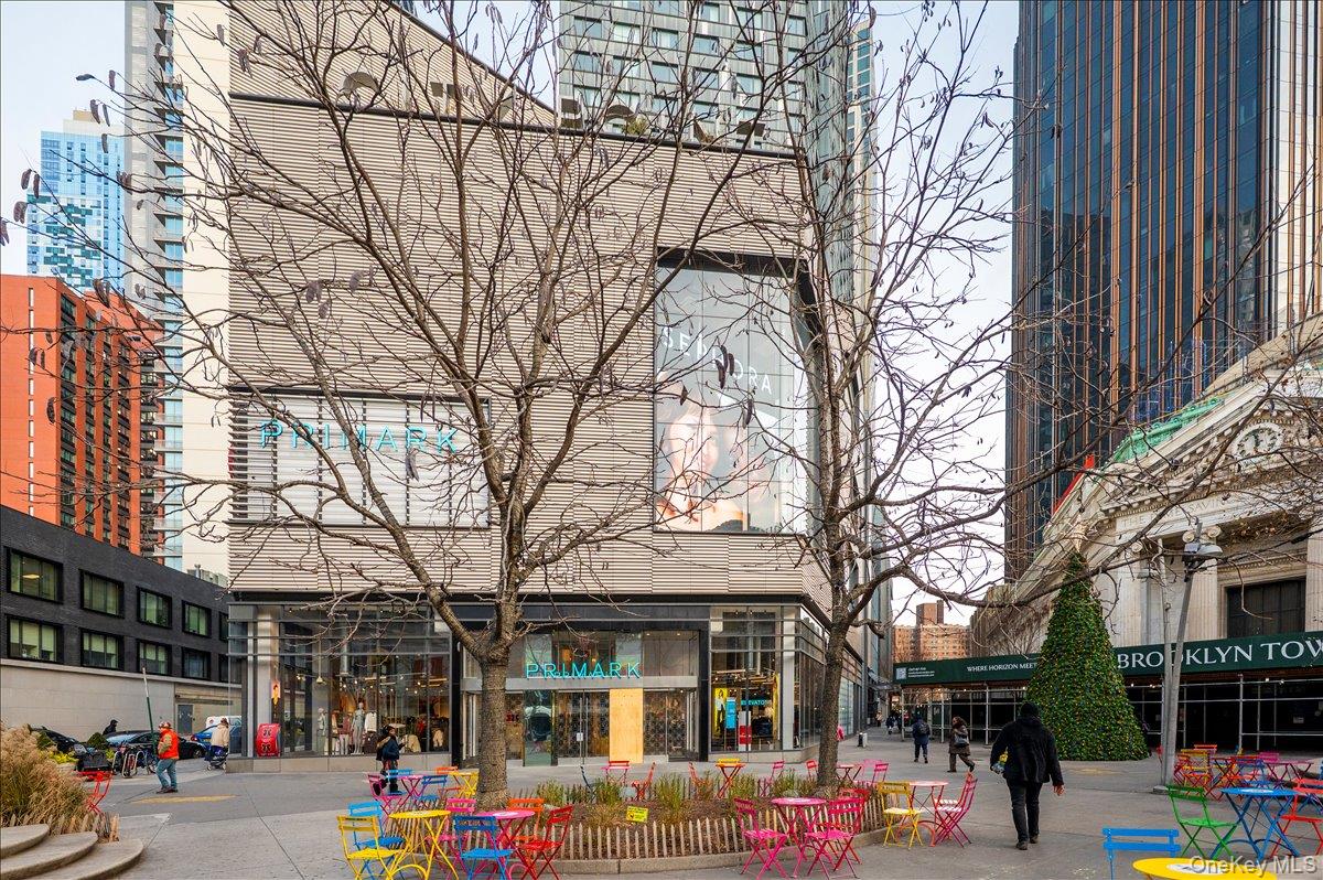 7 Dekalb Avenue Unit: 19F