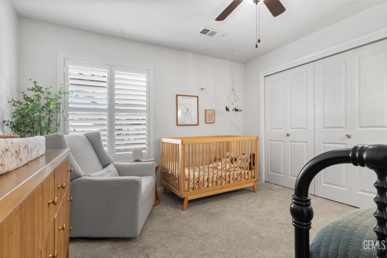 13506 Coco Palm Court