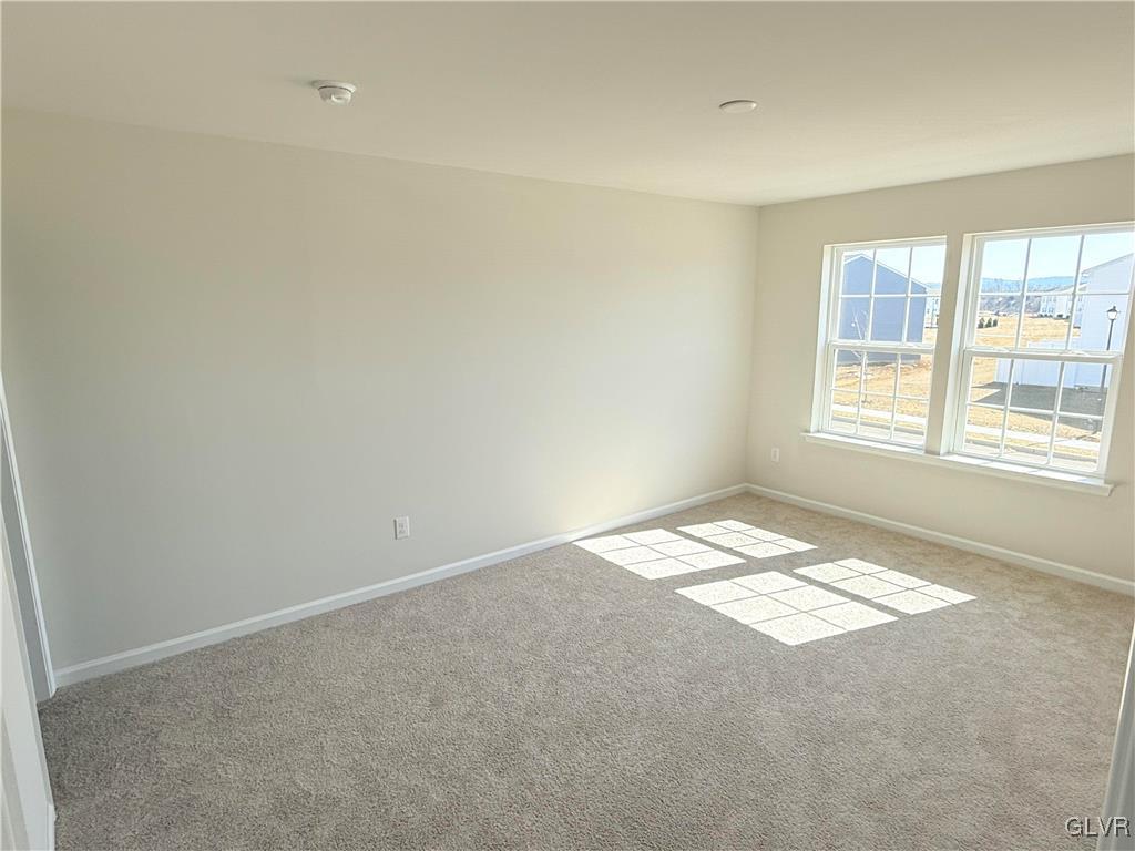 1161 Susan Circle