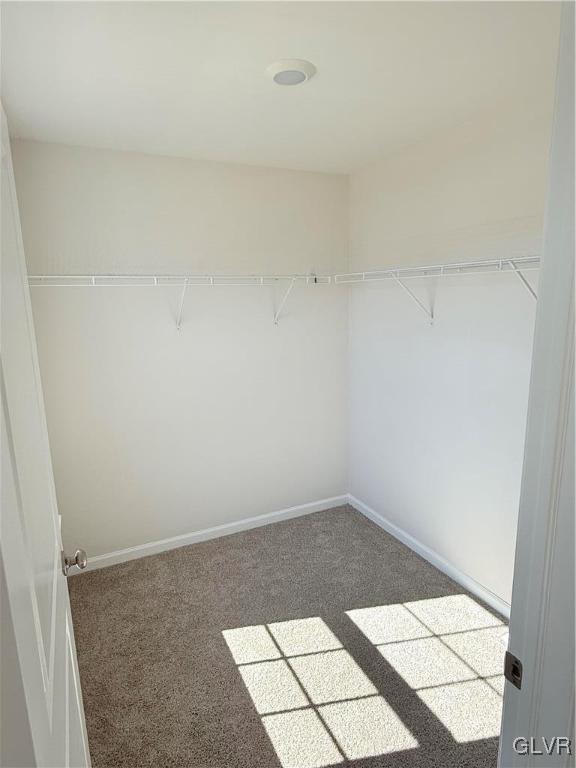 1161 Susan Circle