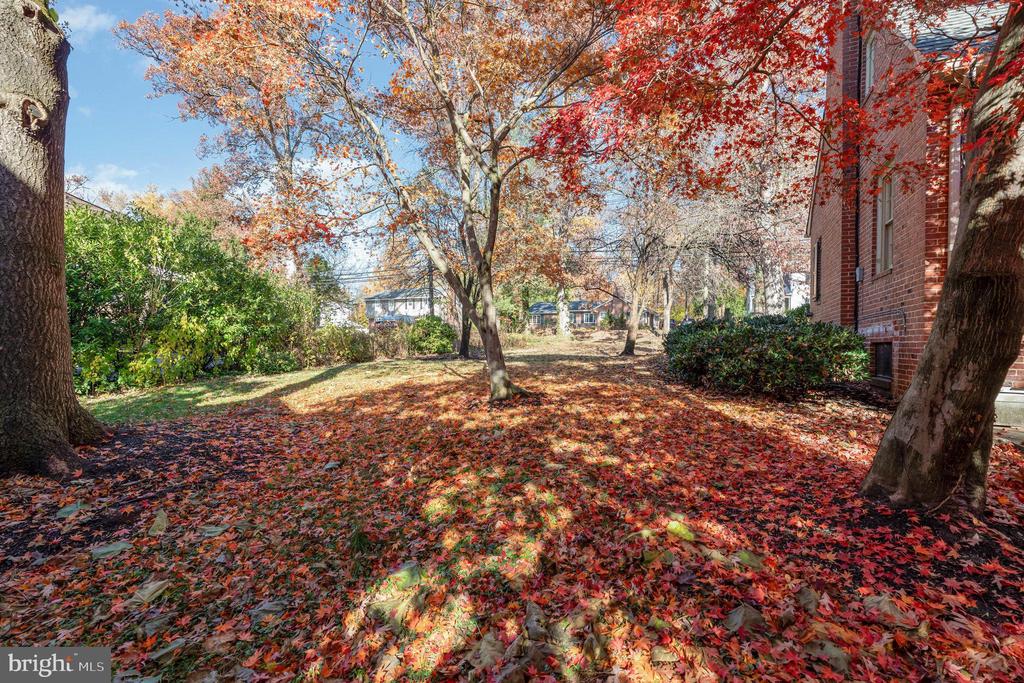 109 W SEMINARY AVENUE