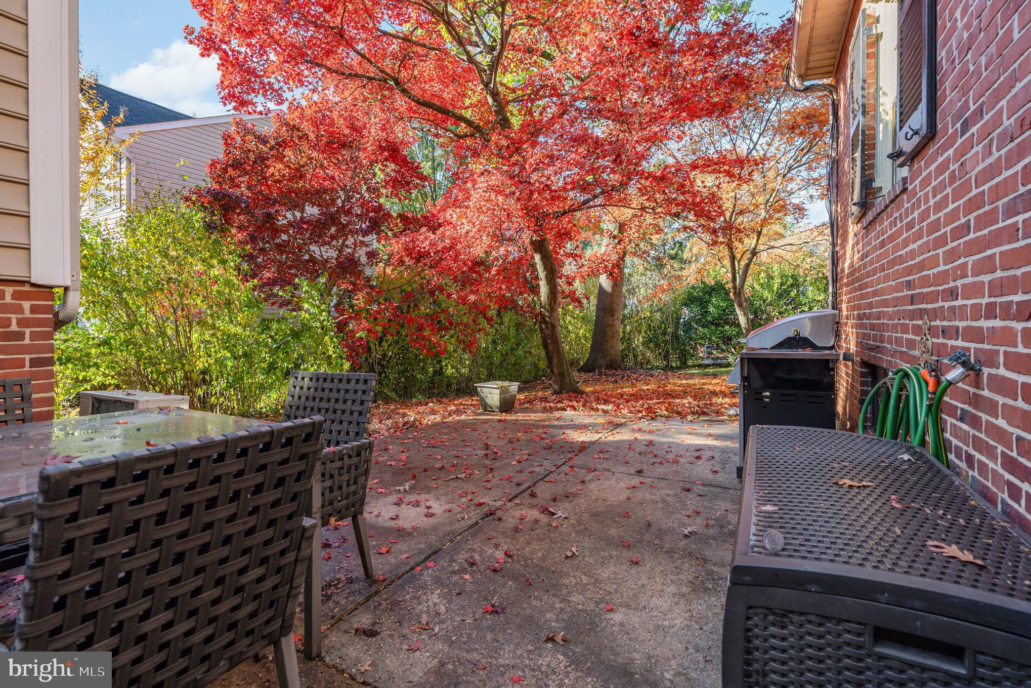 109 W SEMINARY AVENUE