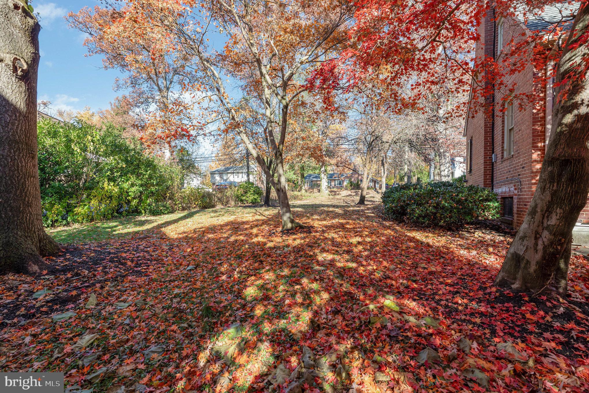 109 W SEMINARY AVENUE