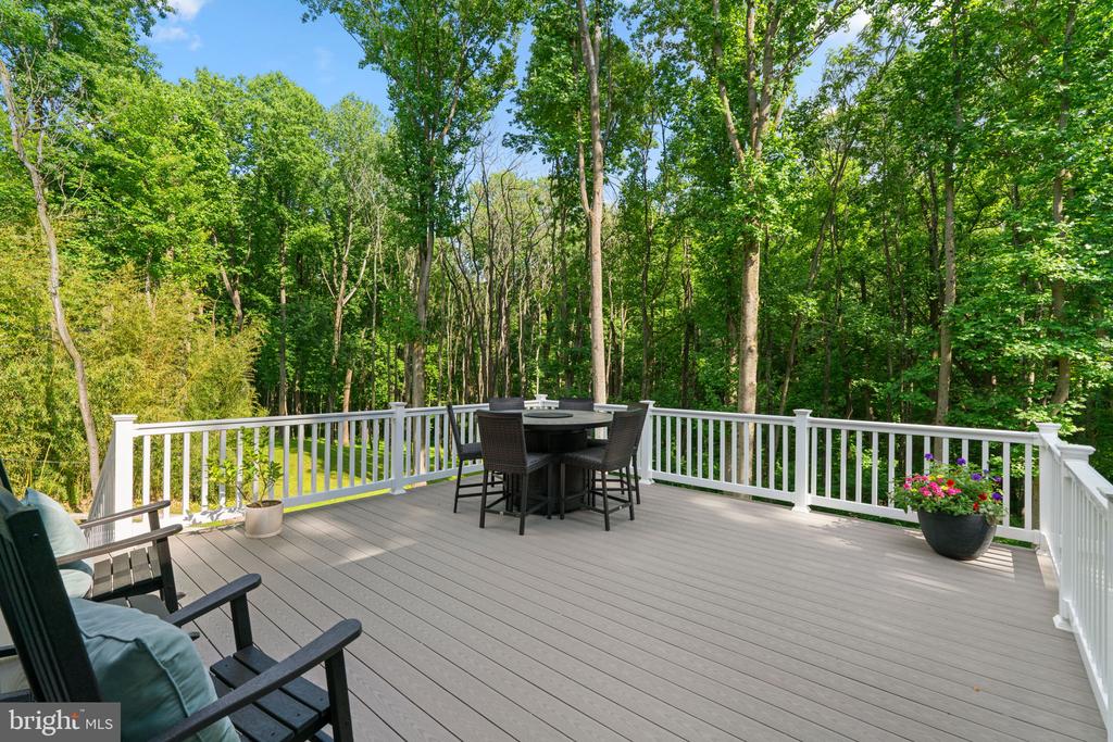 13512 ALLISTON DRIVE