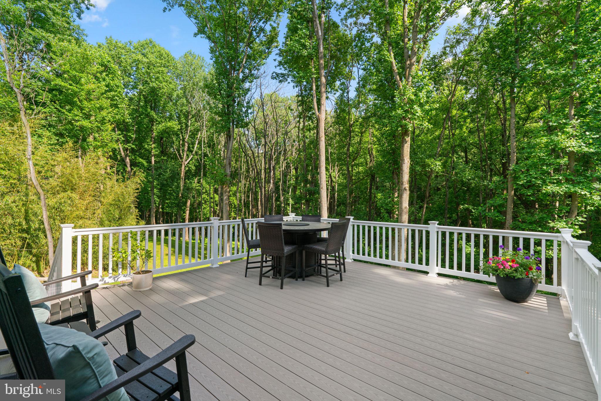 13512 ALLISTON DRIVE