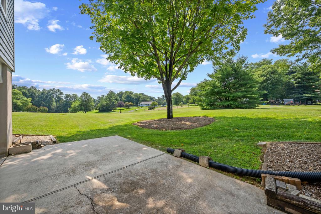 1119 FANNIE DORSEY ROAD