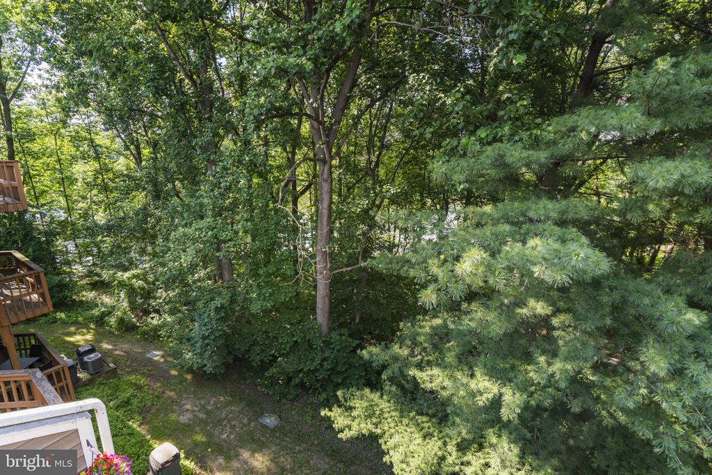 9515 HICKORY LIMB 304