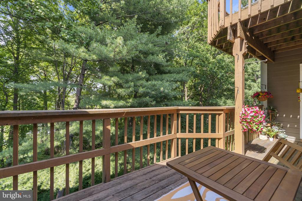 9515 HICKORY LIMB 304