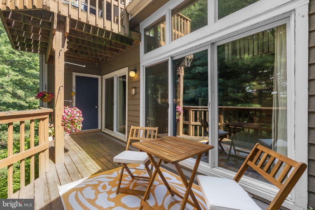 9515 HICKORY LIMB 304