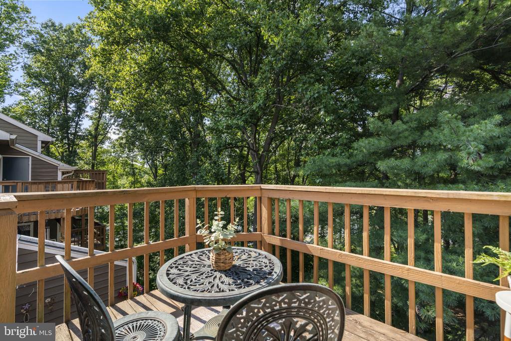 9515 HICKORY LIMB 304