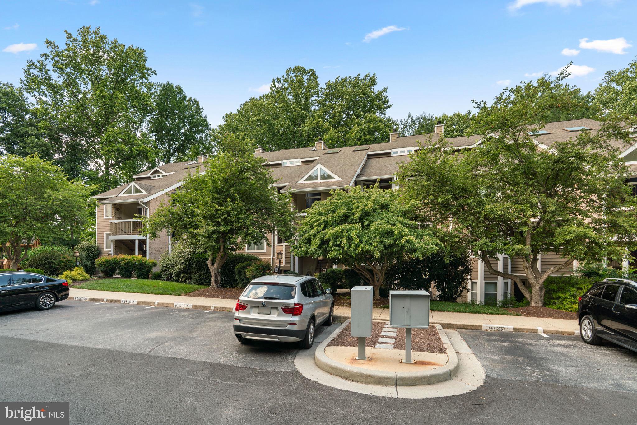 9515 HICKORY LIMB 304
