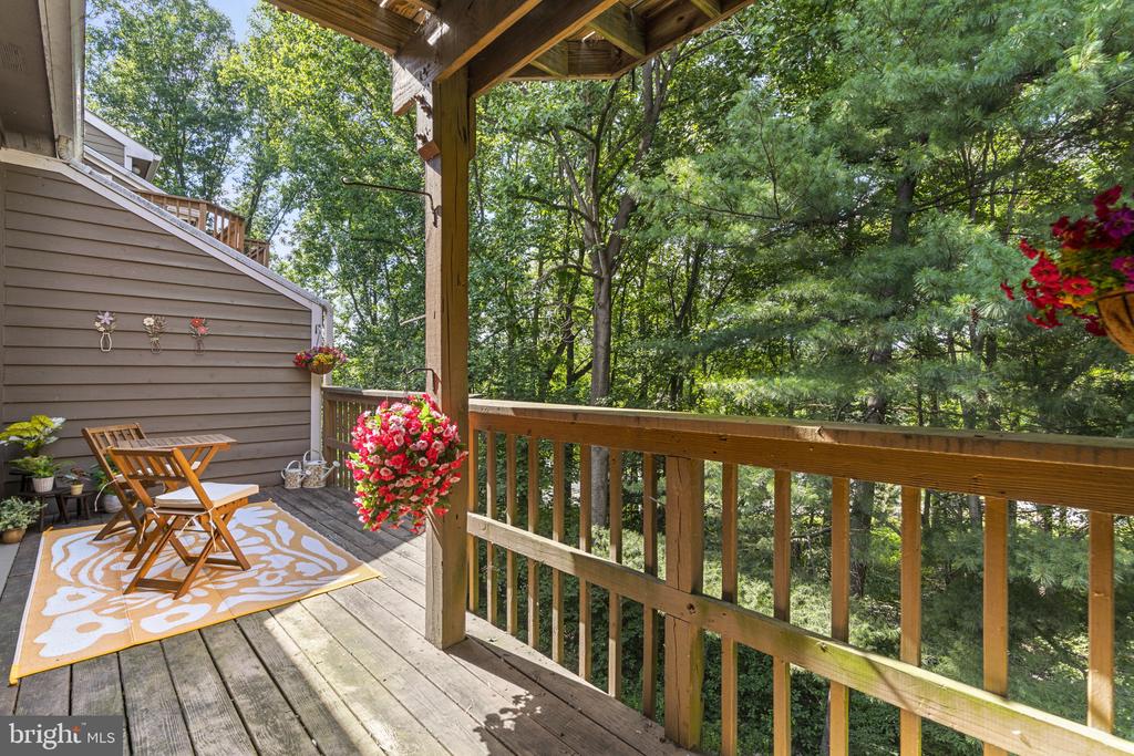 9515 HICKORY LIMB 304