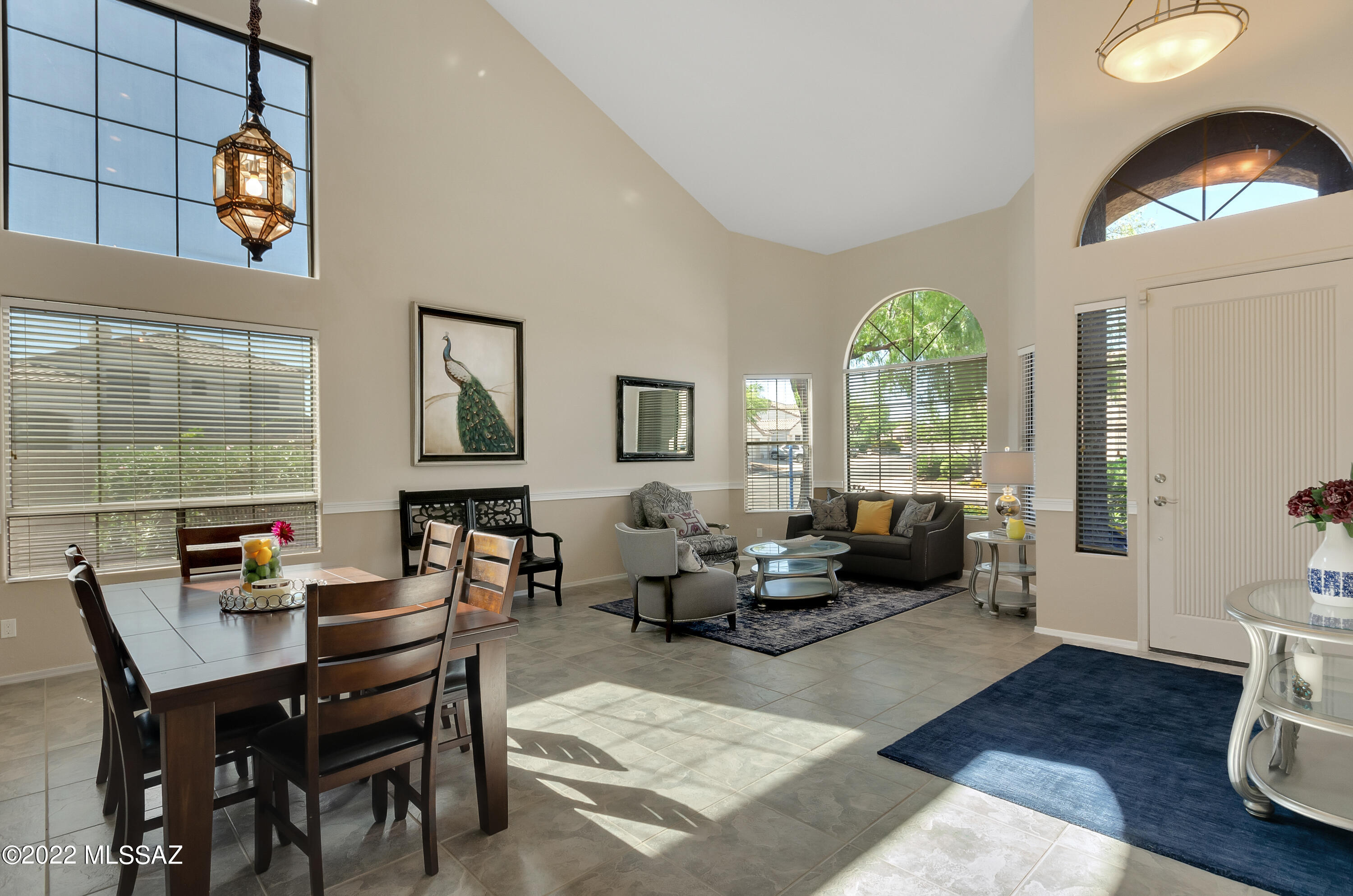 249 W Milbrae Springs Drive