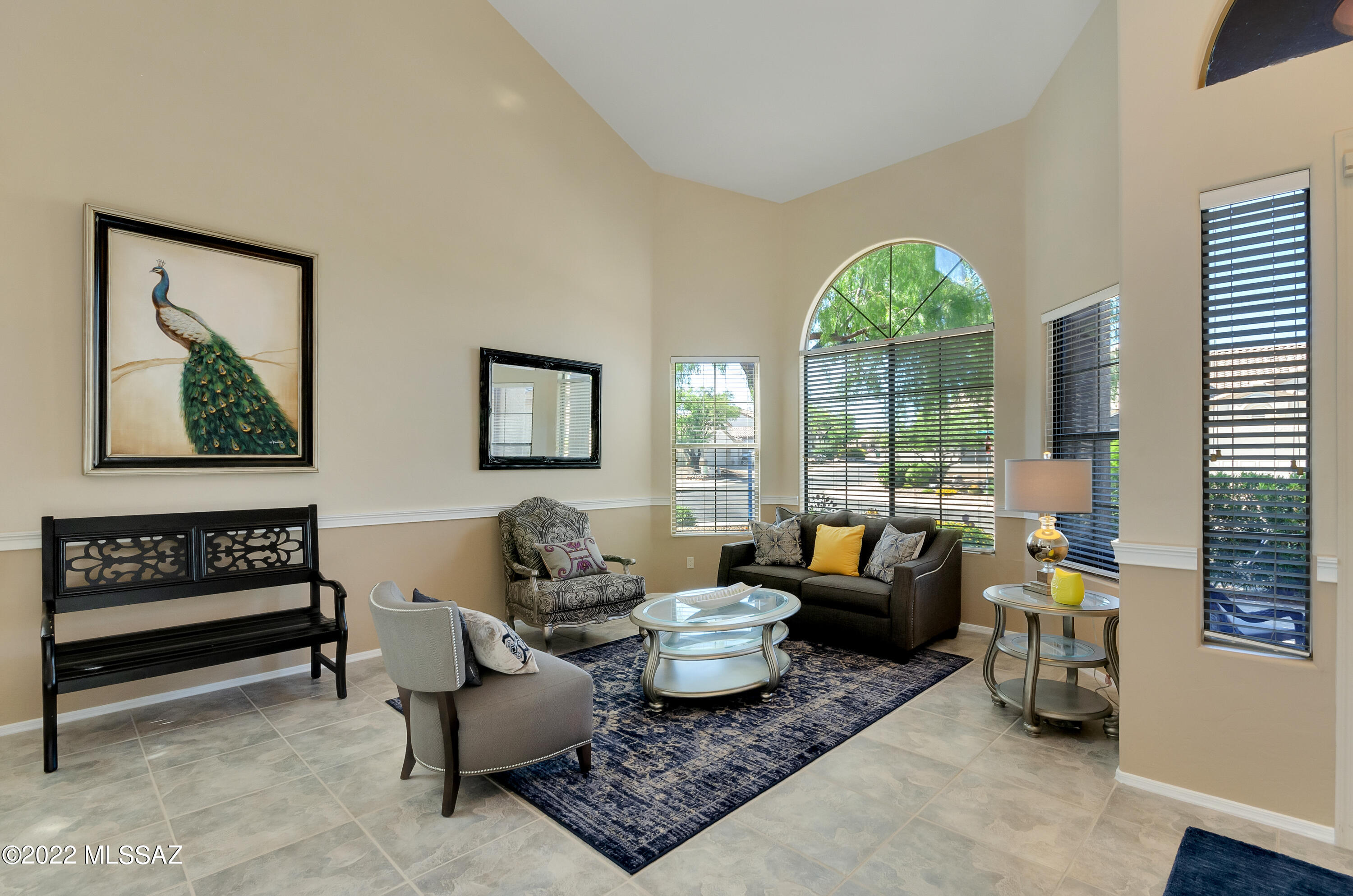 249 W Milbrae Springs Drive